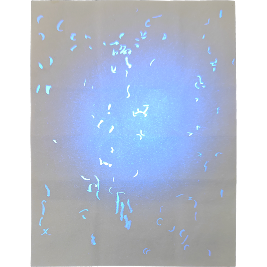 Novelty Iowa Birth Certificate