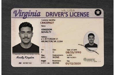 Virginia VIRGINIA FAKE IDS (2025 VERSION)