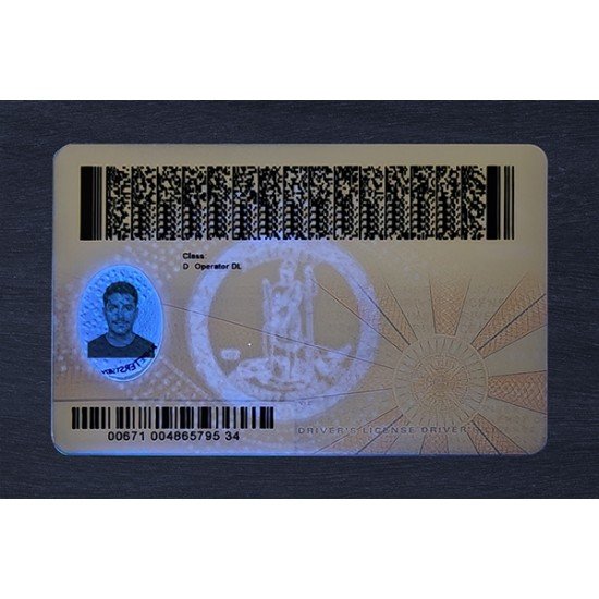 Virginia VIRGINIA FAKE IDS (2025 VERSION)
