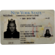 New York CDL